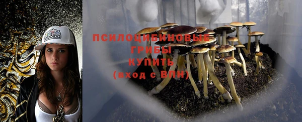 соль ск Алзамай