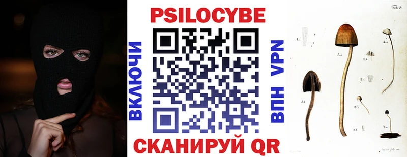 Галлюциногенные грибы Psilocybe  Губкин 